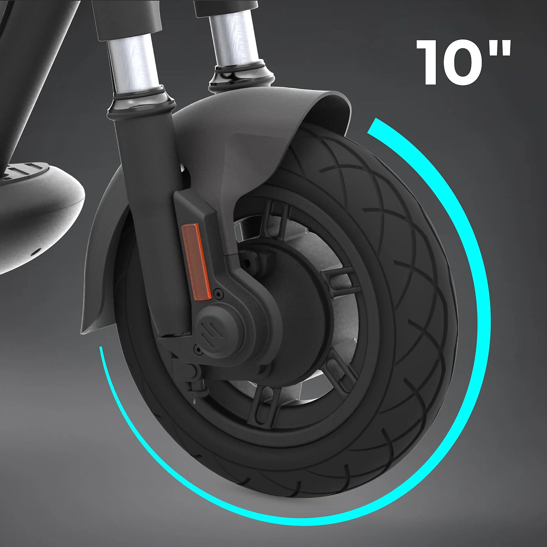 fgfgffg.webp - Bikey Fasty