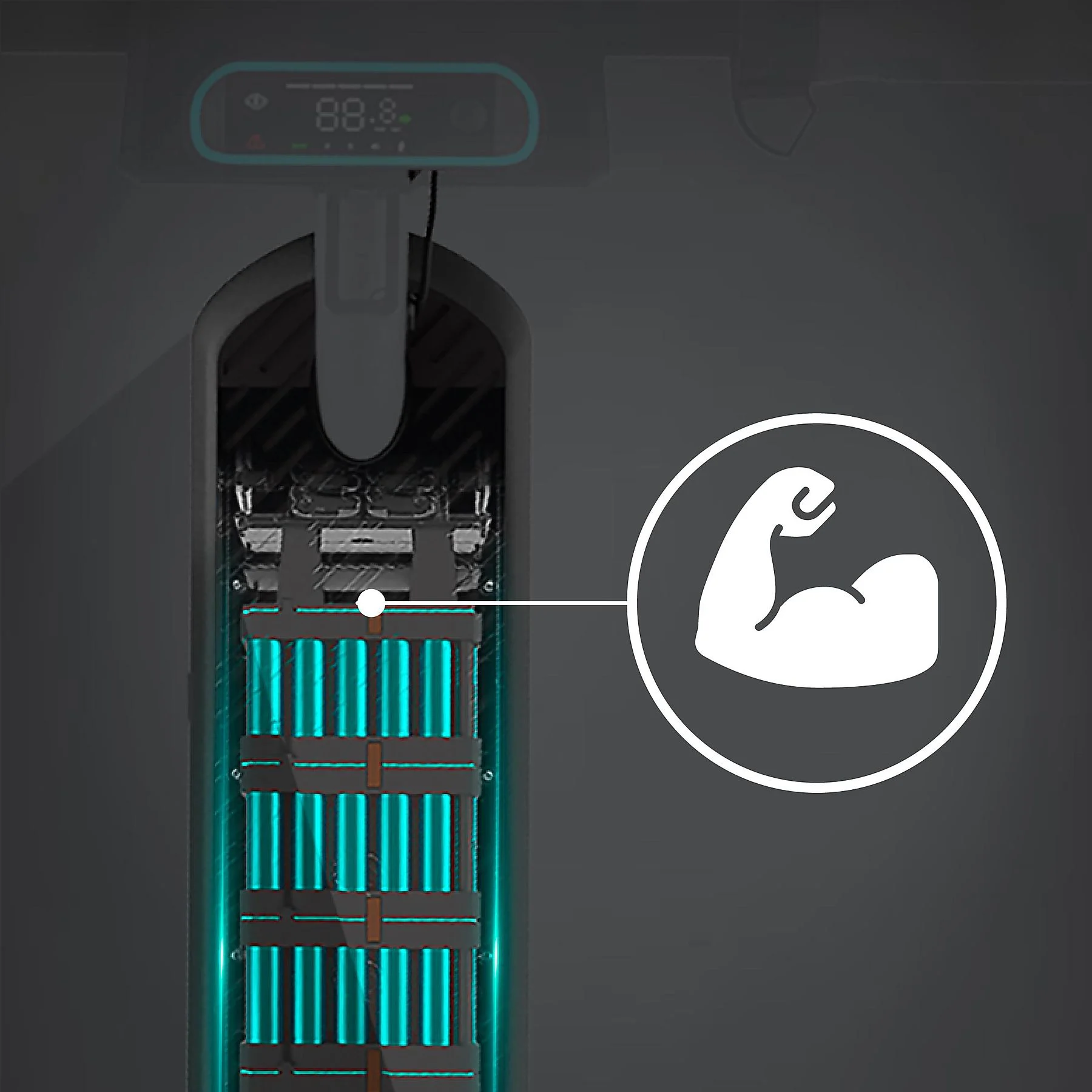 gffgfggfg.webp - Bikey Fasty