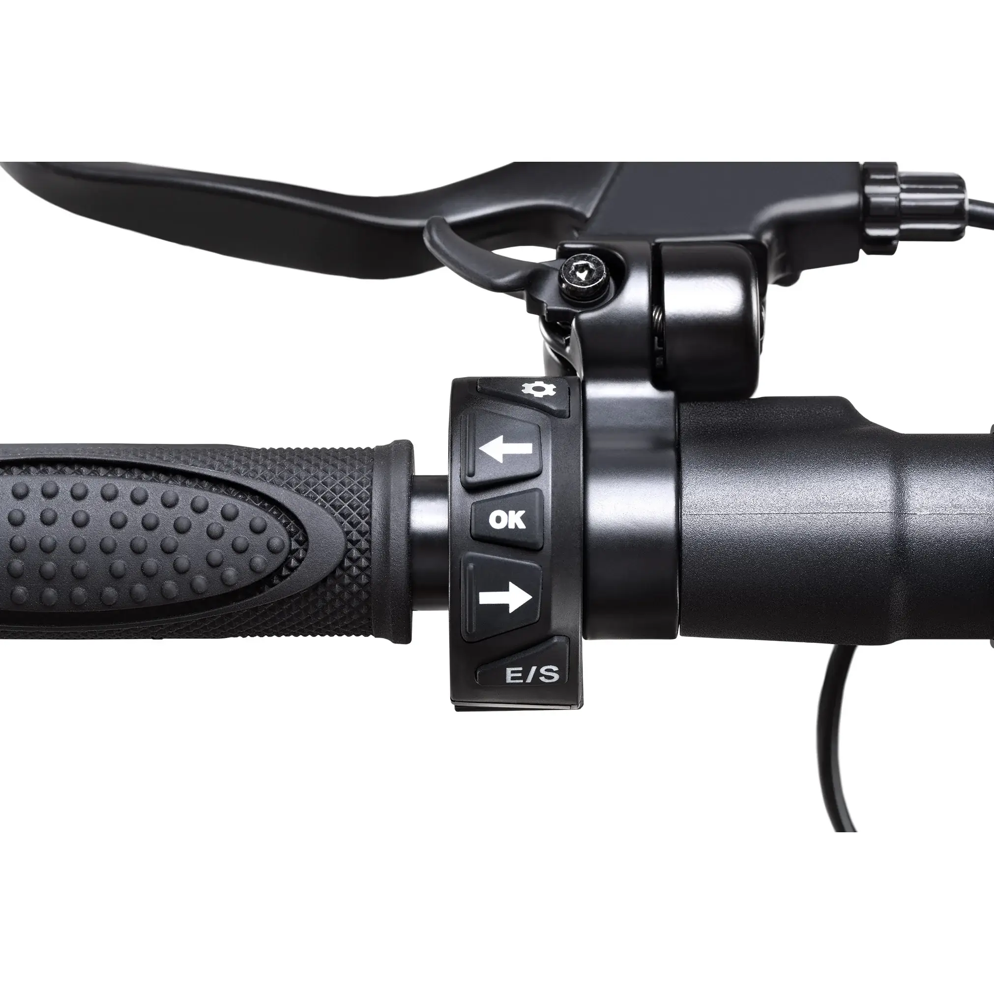 yrttryrty.webp - Bikey Fasty