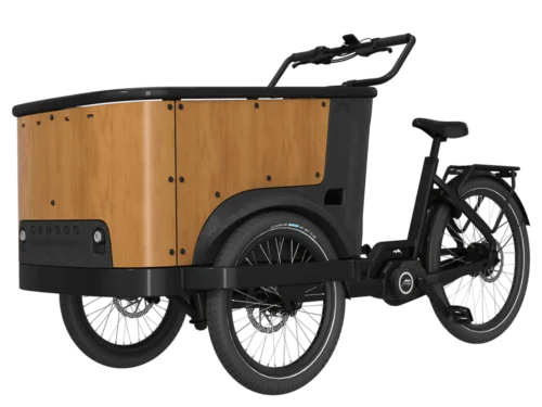 Cangoo Buckle Up Zwart 2024