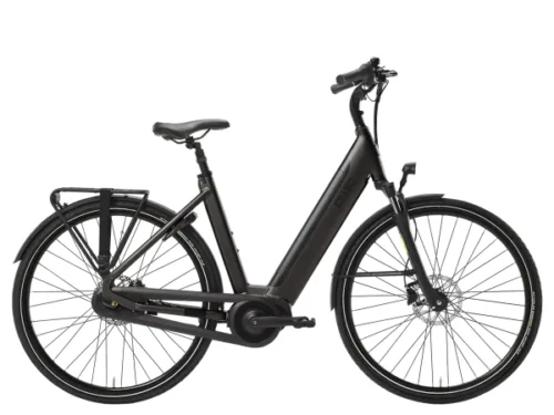 QWIC Inter Plus Dames