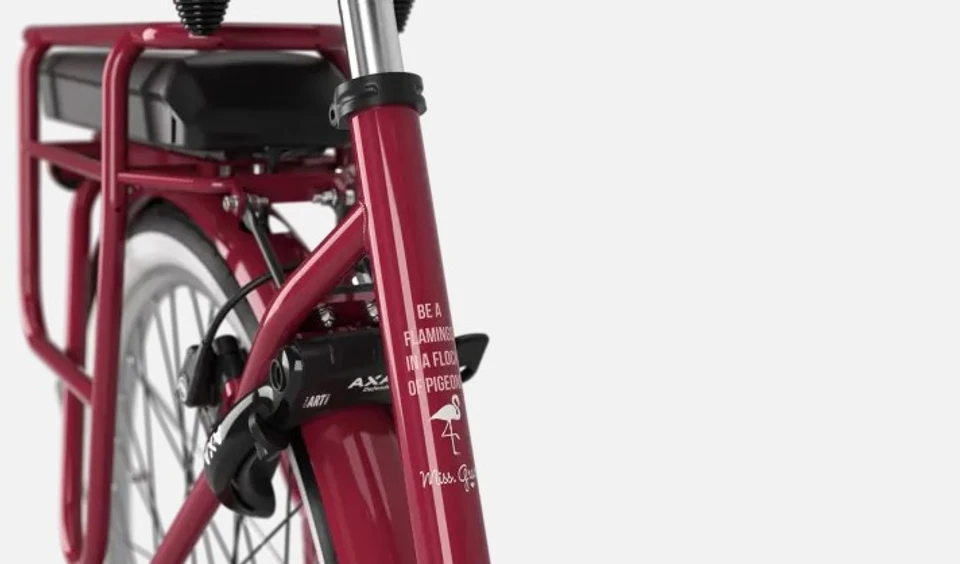 Gazelle Miss Grace C7 HMB Smart 2025 – Image 2